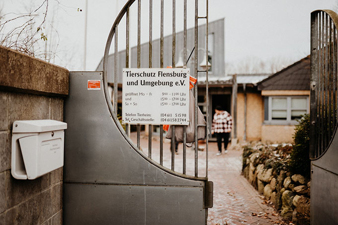Bild vom Eingangstor des Tierheims Flensburg